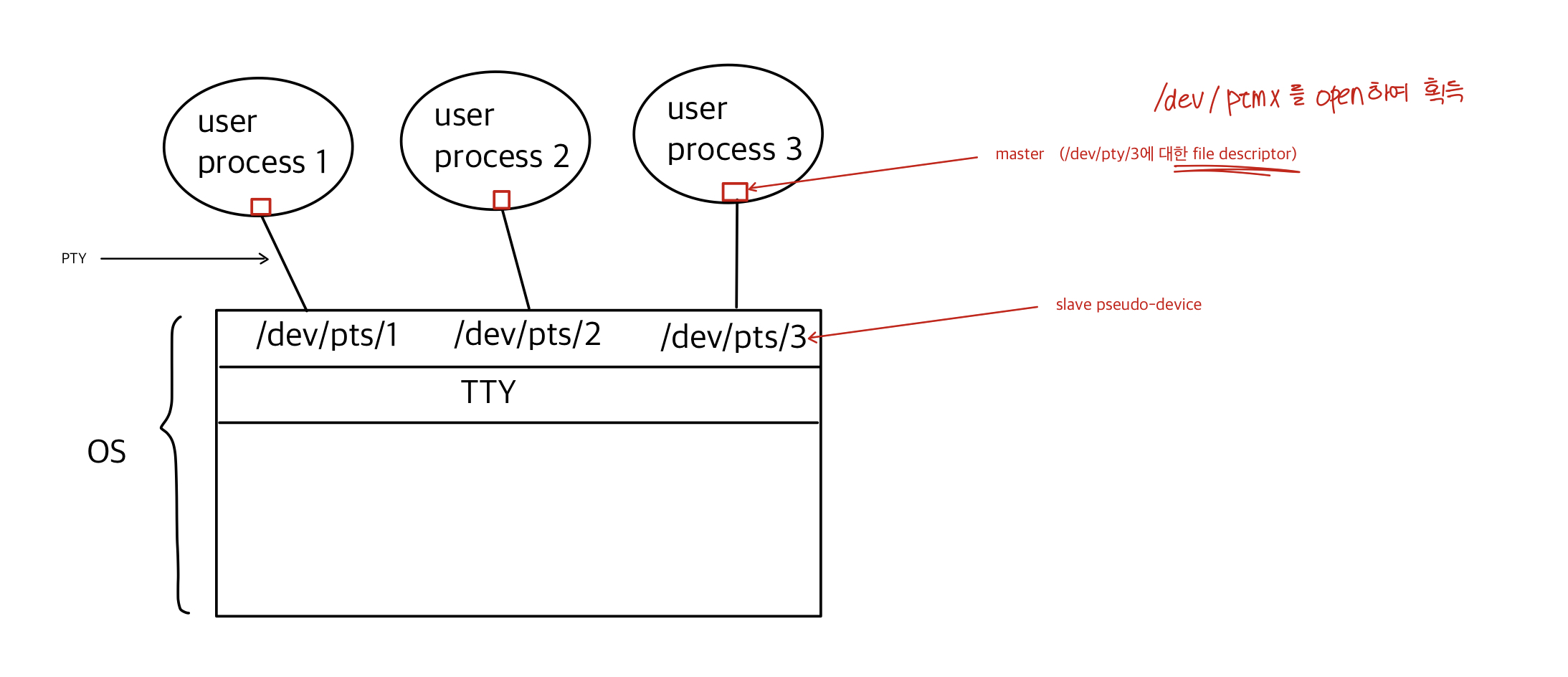 PTY diagram